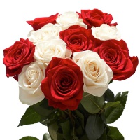globalrose-fresh-flowers-50-roses-25-red-25-white-64_1000_668344039