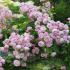 nautica2_1682441183