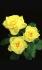 suela_2031180537