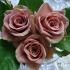 gorgeous1_316018746